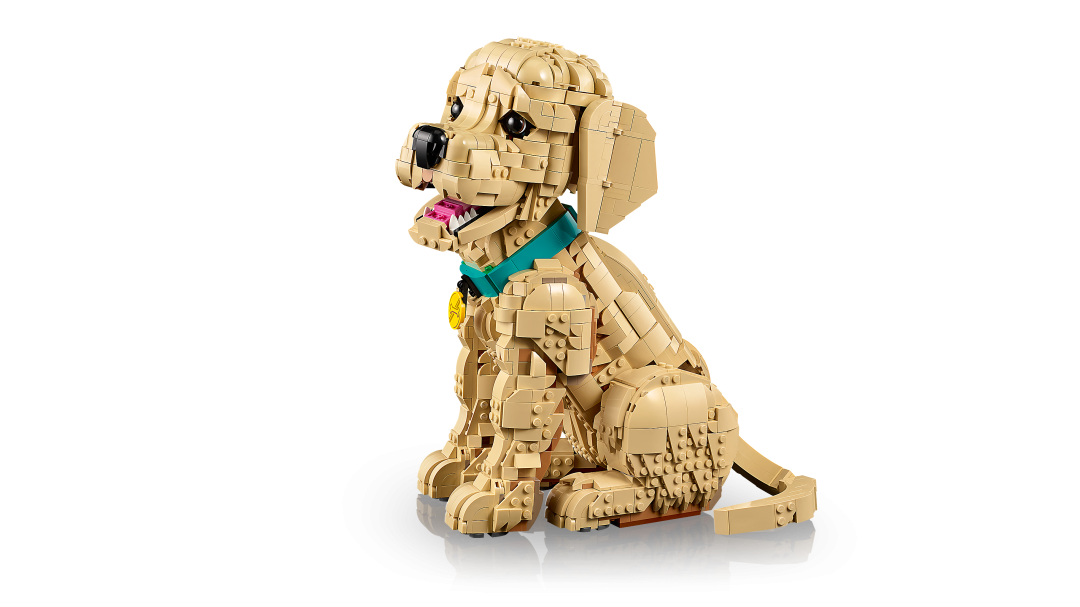 11384 | LEGO® ICONS™ Golden Retriever Puppy